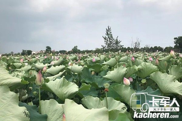 救援3小時達，保障農產品新鮮安全