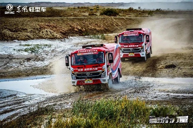 東風(fēng)康明斯  東風(fēng)凱普特