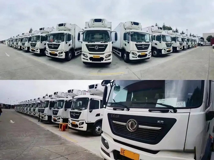 東風康明斯,D4.5,發動機