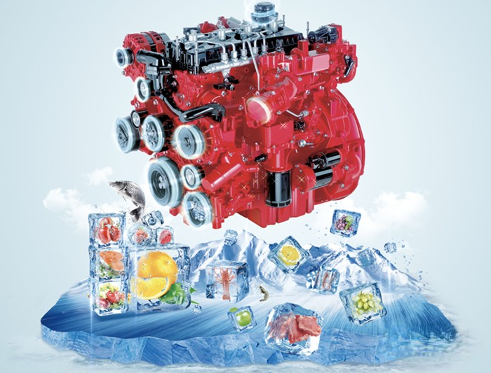 安徽康明斯 E3.0 國六 發(fā)動機