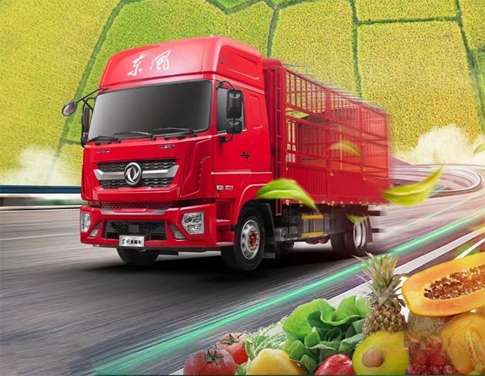 東風(fēng)多利卡D9K