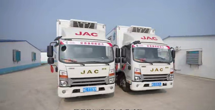 鮮活蝦苗運輸 廣東林威的錦囊妙計是“帥鈴冰博士”！