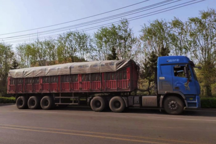 省力省心全時出勤!歐曼GTL自動擋提升煤炭運輸競爭力