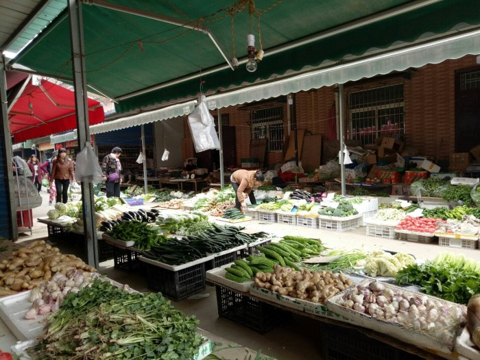 幸運對對碰故事:東風途逸T5，讓我安心回鄉(xiāng)創(chuàng)業(yè)