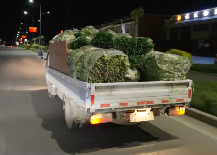  每公里低至0.3元，東風途逸T5 CNG 帶來美好生活